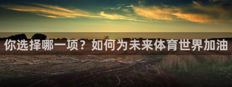 杏悦2主管球27337：你选择哪一项？如何为未来体育世界加油