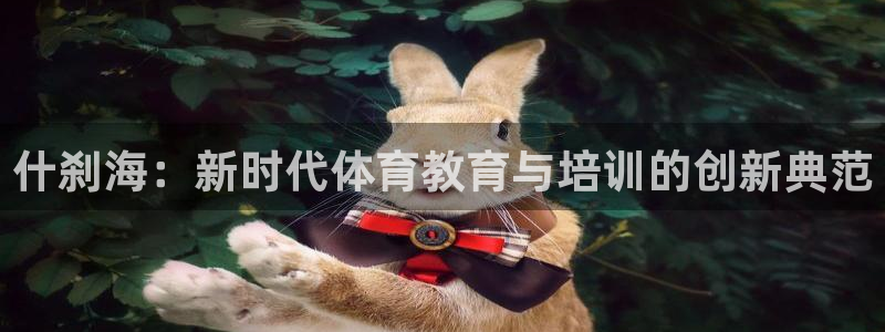杏悦2平台注册入口：什刹海：新时代体育教育与培训的创新典范