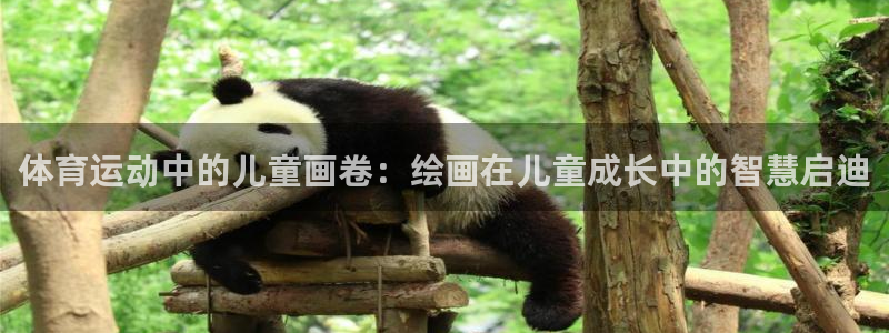 杏悦2体育论坛：体育运动中的儿童画卷：绘画在儿童成长中的智慧启迪