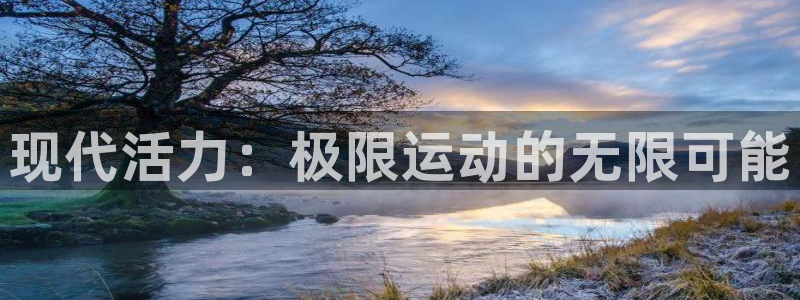 杏悦24代理：现代活力：极限运动的无限可能
