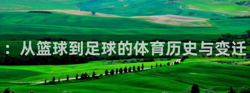 杏悦2官网：：从篮球到足球的体育历史与变迁