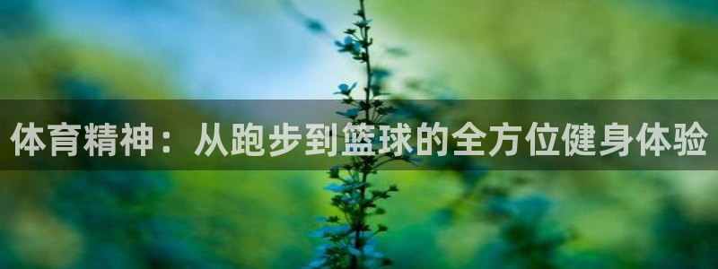 杏悦22平台登录：体育精神：从跑步到篮球的全方位健身体验