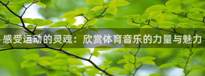杏悦2官网登录入口：感受运动的灵魂：欣赏体育音乐的力量与魅力
