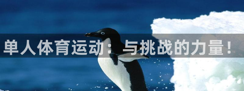 杏悦2vk：单人体育运动：与挑战的力量！