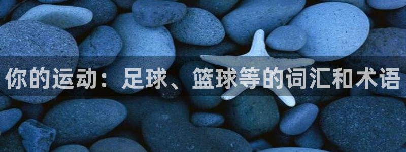 杏悦24登录：你的运动：足球、篮球等的词汇和术语
