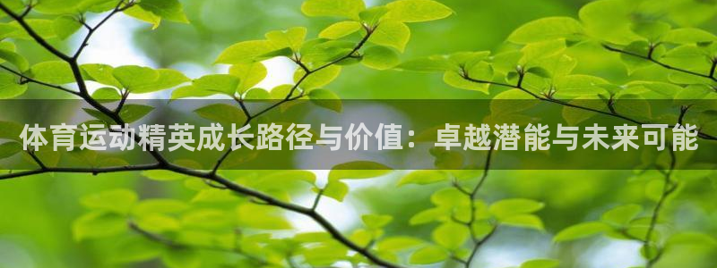 杏悦23登录：体育运动精英成长路径与价值：卓越潜能与未来可能