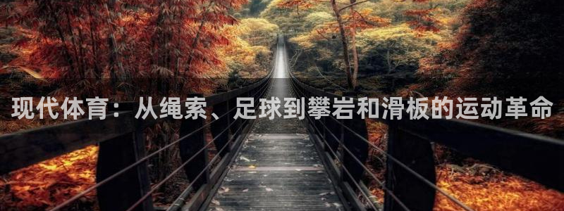 杏悦2平台：现代体育：从绳索、足球到攀岩和滑板的运动革命