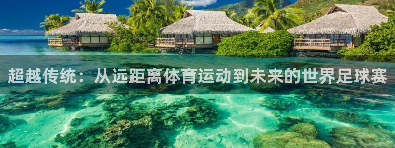 杏悦2登录：超越传统：从远距离体育运动到未来的世界足球赛