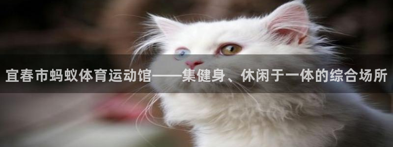 杏悦2体育网页版入口：宜春市蚂蚁体育运动馆——集健身、休闲于一体的综合场所