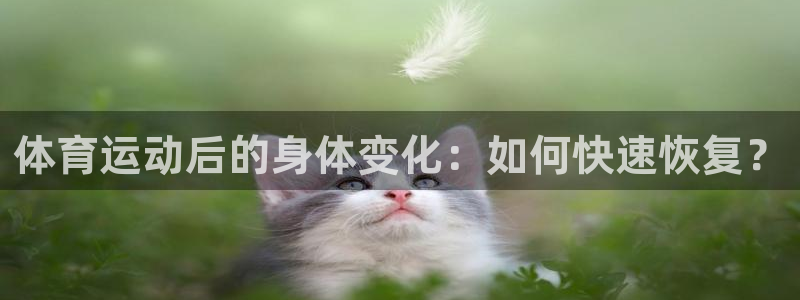 杏悦2官网入口：体育运动后的身体变化：如何快速恢复？