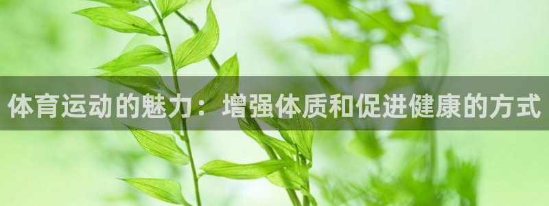 杏悦23平台注册：体育运动的魅力：增强体质和促进健康的方式