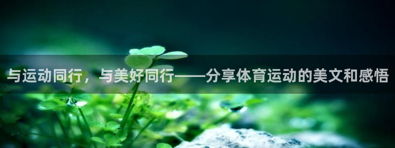 杏悦2体育官网注册：与运动同行，与美好同行——分享体育运动的美文和感悟