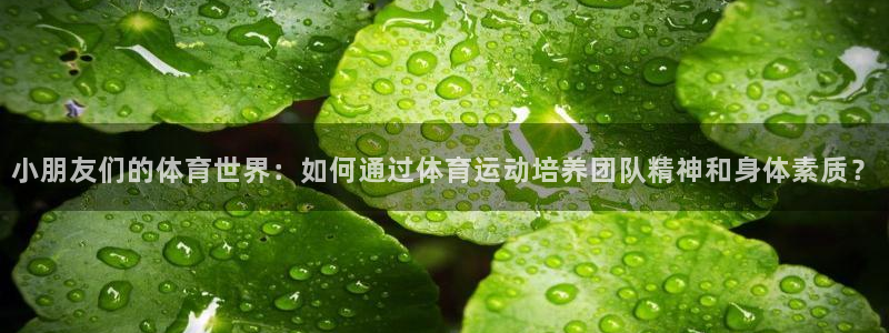 杏悦2体育app下载：小朋友们的体育世界：如何通过体育运动培养团队精神和身体素质