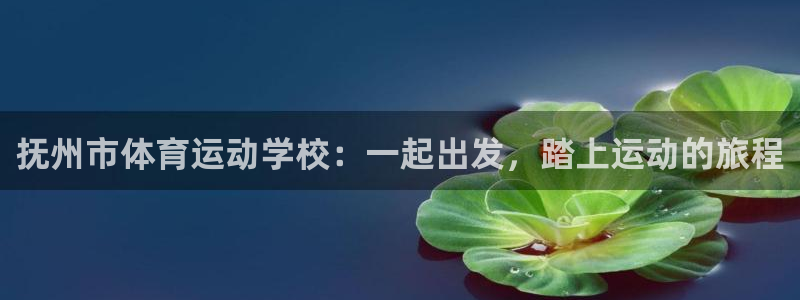 杏悦2体育在线注册：抚州市体育运动学校：一起出发，踏上运动的旅程