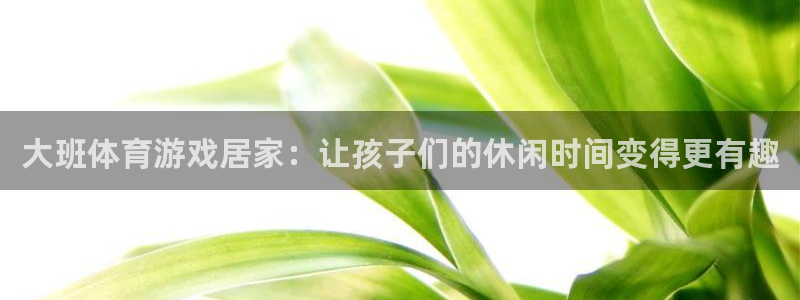 杏悦23登录：大班体育游戏居家：让孩子们的休闲时间变得更有趣