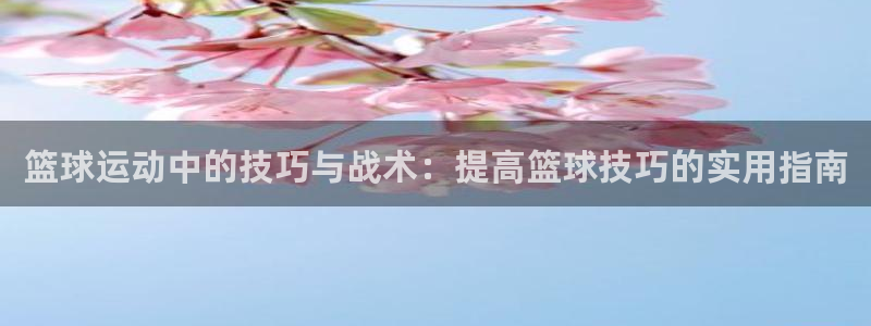 杏悦2体育eon：篮球运动中的技巧与战术：提高篮球技巧的实用指南