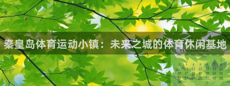 杏悦2体育app下载：秦皇岛体育运动小镇：未来之城的体育休闲基地