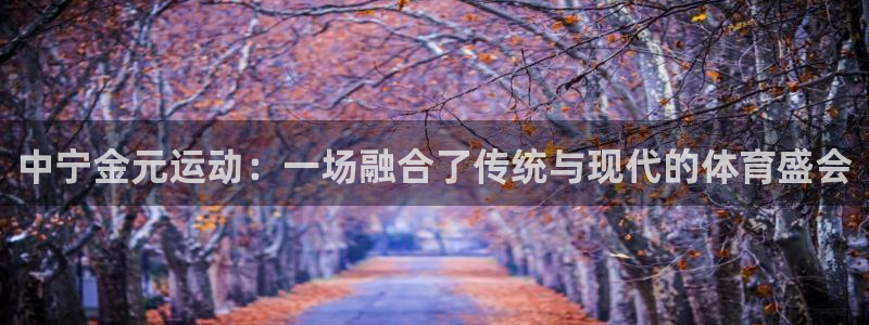 杏悦2体育注册代理：中宁金元运动：一场融合了传统与现代的体育盛会