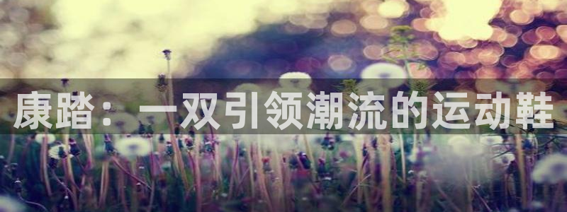杏悦23登陆