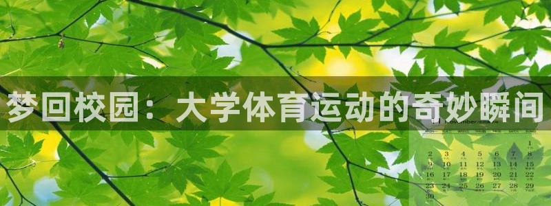 杏悦23官网登录：梦回校园：大学体育运动的奇妙瞬间