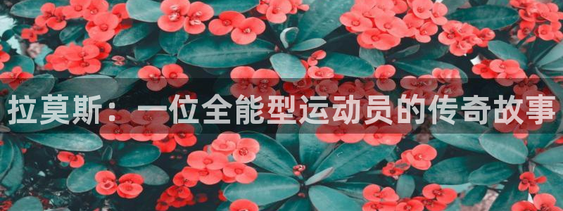 杏悦2f凯捷平台在线注册：拉莫斯：一位全能型运动员的传奇故事